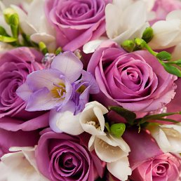 �������, ������, 53 ����