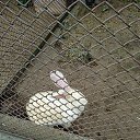 ���� ������, �����, 37 ��� - ��������� 5 ����� 2024 � ������ ���� ����������