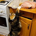 ������������.... �� ������� ���� ����������