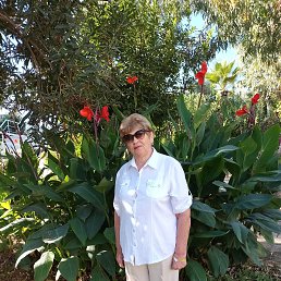 , 58, 