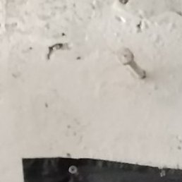 �����, �������, 18 ���