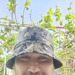 �������, �����-���������, 41 ���