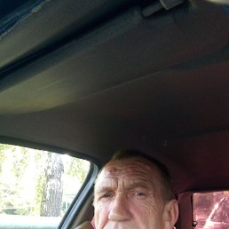 , 54, 