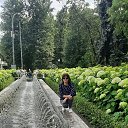 ���� �������, ��������, 52 ���� - ��������� 7 ������ 2023