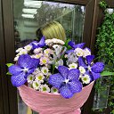 ���� �������, �����, 37 ��� - ��������� 3 ����� 2025 � ������ ���� ����������