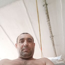 , 41 , 