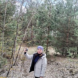 �����, �������, 43 ����