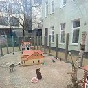 ���� �����, �����������, 60 ��� - ��������� 3 ��� 2026 � ������ �������������