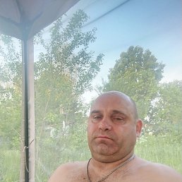 ������ �����������, ������, 41 ���