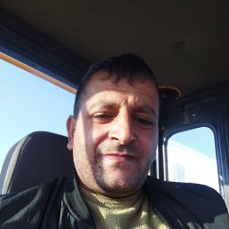 , 37, 