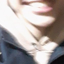 �����, �����-���������, 23 ����