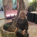 ���� �������, �����������, 65 ��� - ��������� 11 ������� 2023 � ������ ���� ����������