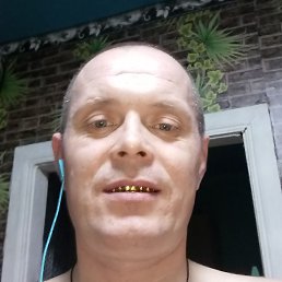 ������, ������, 41 ���