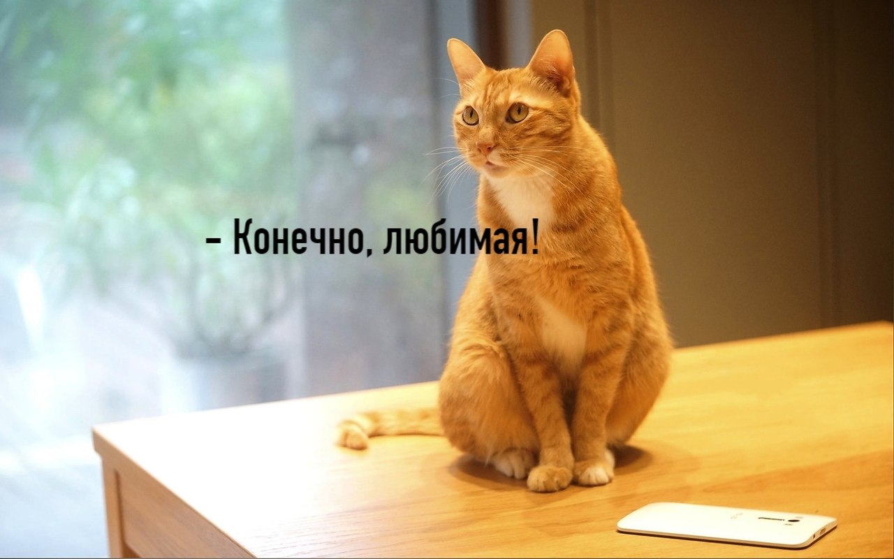 ��� ���� � ����� �� �� - 1 ���� 2026 � 15:02 - 2