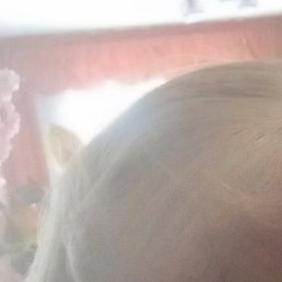 �������, ������, 54 ����