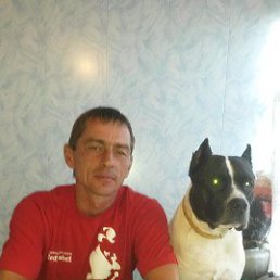 , 56, 