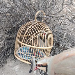 ������, ������, 31 ���