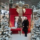 ���� �������, �����, 49 ��� - ��������� 5 ������ 2025 � ������ ���� ����������