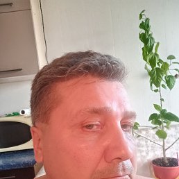 ���� ���������, ����, 55 ��� - ��������� 24 ������ 2026