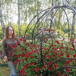 , 26,  