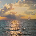 ���� Georgiy (�), �������� - ��������� 14 ������ 2025 � ������ ���� ����������