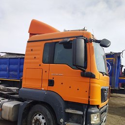 �����, ������, 37 ���