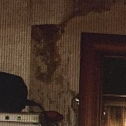 �����, 42 ����, ������