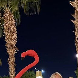  , , 53  -  27  2025