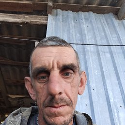 , 41 , 