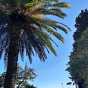���� ��, ������-��-���� - ��������� 10 ������� 2024 � ������ �������� ������� 24�