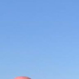 ���������, �����������, 49 ���