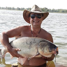 ����, 53 ����, ������