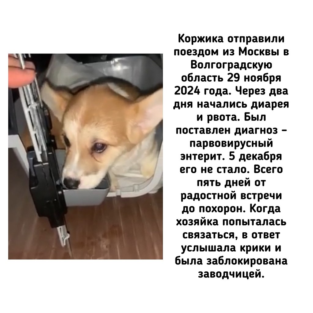 �� - ������������ ������ ������������ �� �������� ��������� (��������) �� ������ ����� (���������� ... - 3