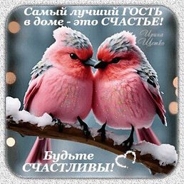 �������, �����, 63 ����