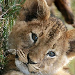 ���� ������, ������, 57 ��� - ��������� 20 ������ 2023