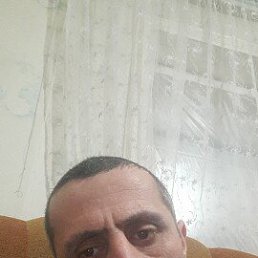 , 41, 