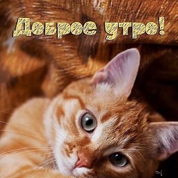 ���� �������, ������, 51 ��� - ��������� 18 ������ 2024