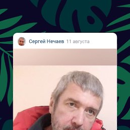 , 57, 