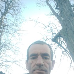 ���� ����, ������, 43 ���� - ��������� 29 ������� 2025