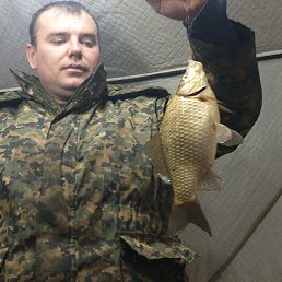 ���� ����, ������, 44 ���� - ��������� 24 ������ 2023