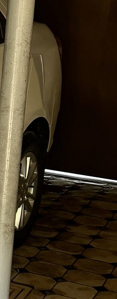 ������, ������, 55 ���