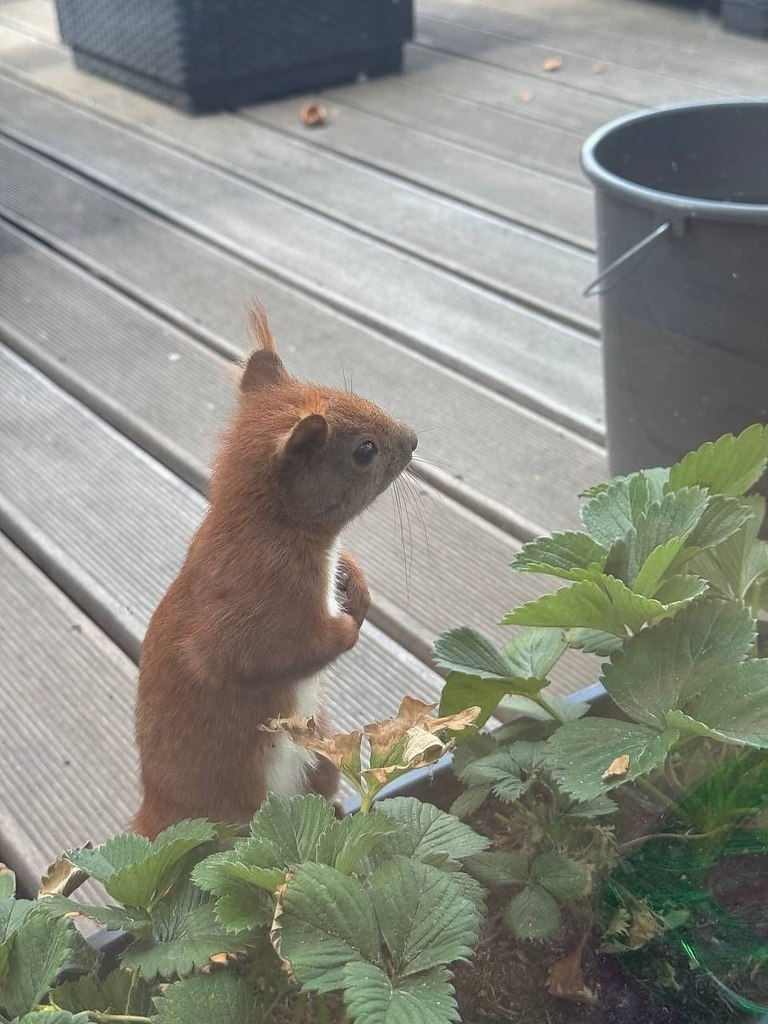 � � ��� ������� �� ��������? - 3