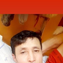 ���� ����, ������, 50 ��� - ��������� 17 ������� 2023