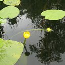 ���� ���������, ���, 32 ���� - ��������� 24 ������� 2025 � ������ ���� ����������