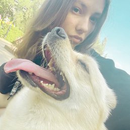 �����, 22 ����, ������