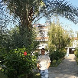 ���� �������, ����������� - ��������� 9 ������� 2026