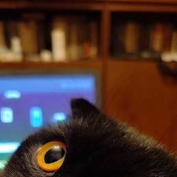 ����, �����, 61 ���