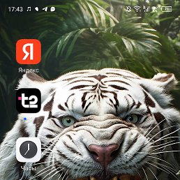 �����, �������, 39 ���