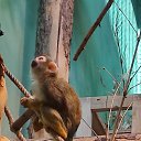 ���� ������, ��������� - ��������� 13 ������� 2024 � ������ ������ ��������