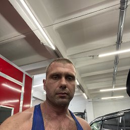 ���� �������, ����������, 41 ��� - ��������� 15 ���� 2026
